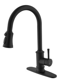 Kitchen Faucet with Pull Out Spraye - as Pic