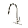 Kitchen Faucet with Pull Down Sprayer - as Pic