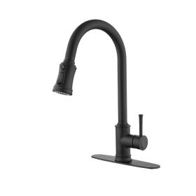 Single Handle High Arc Pull Out Kitchen Faucet,Single Level Stainless Steel Kitchen Sink Faucets with Pull Down Sprayer - as Pic