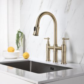 Transition bridge kitchen faucet with pull-down nozzle - Default