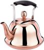 Rose Gold Stainless Steel Kettle; Streamlined Spout; Anti-scalding Handle; tea Kettle for Stove Top Whistling (Size : 1L)