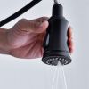 Bridge Kitchen Faucet with Pull-Down Sprayhead in Spot - as Pic