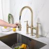 Transition bridge kitchen faucet with pull-down nozzle - Default