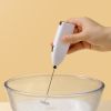 Mini Stainless Electric Handheld Egg Beater Household Kitchen Steel Coffee Milk Tea Blender Beat up the Cream Stirring - White