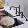 Bridge Dual Handles Kitchen Faucet With Pull-Out Side Spray in - as Pic