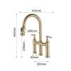 Transition bridge kitchen faucet with pull-down nozzle - Default